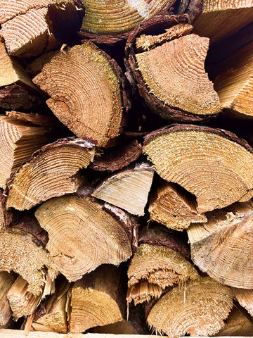 Brennholz Fichte